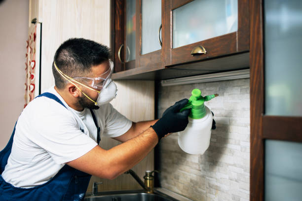 Trusted Privateer, SC Pest Control Experts