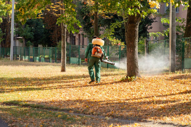 Best Local Pest Control Services  in Privateer, SC